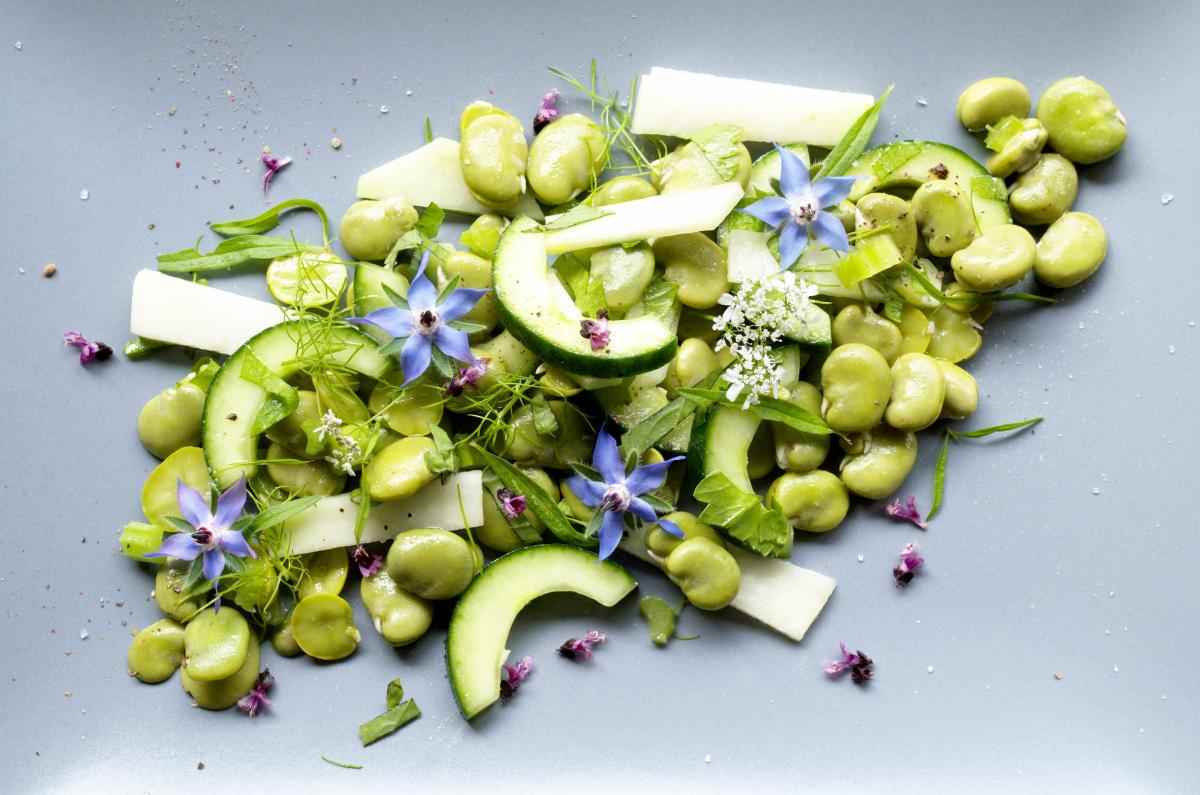 Salat von dicken Bohnen Gurke Kohlrabi und Kraeutern