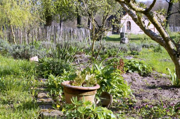 Forsthaus Strelitz Gartenansicht2