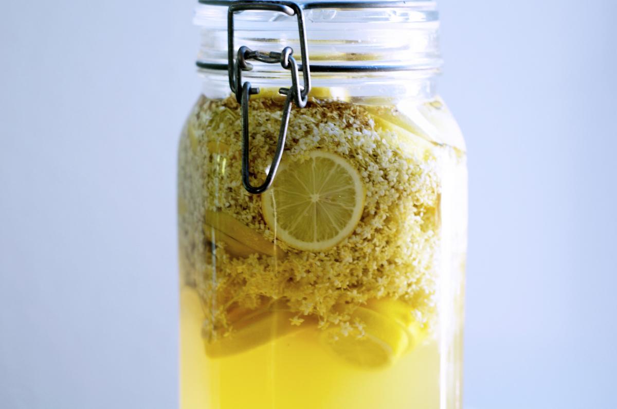 Holunderbluetensirup selbst machen