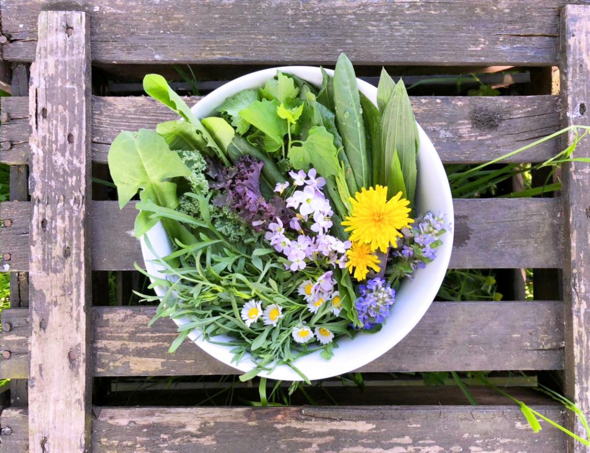 Gartensalat 3 mit Wiesenkraeutern