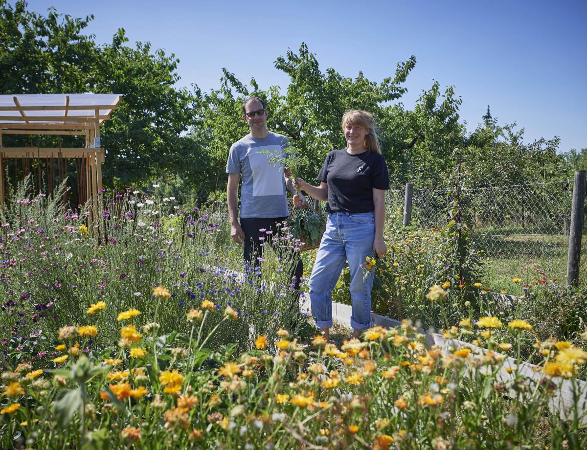 YOK Profilfoto Garten klein2