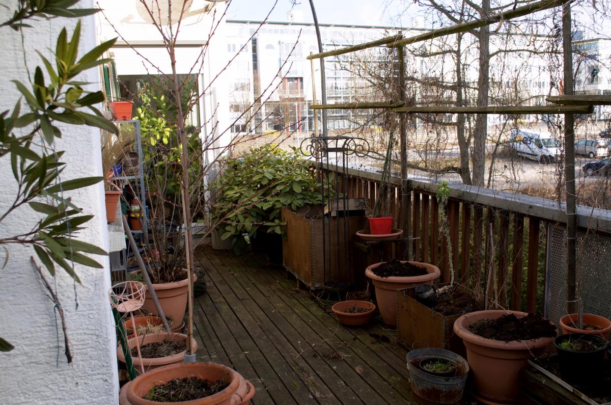 Balkon Suedostseite Februar 2018