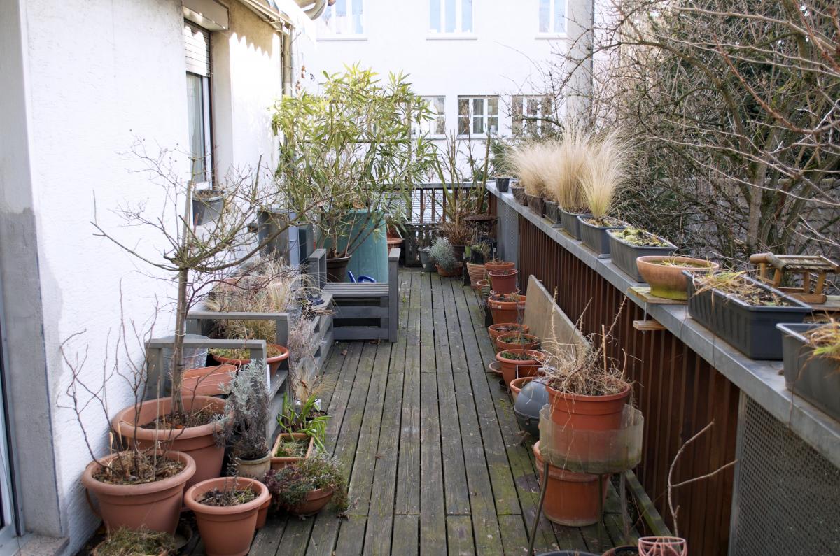 Fruehling kann kommen