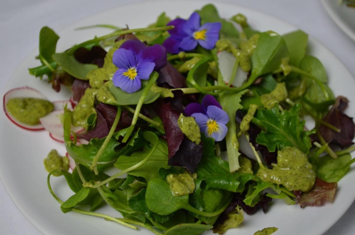 Frühlingssalat mit Kräuter-Senf-Dressing » Ye Olde Kitchen | Food- und ...