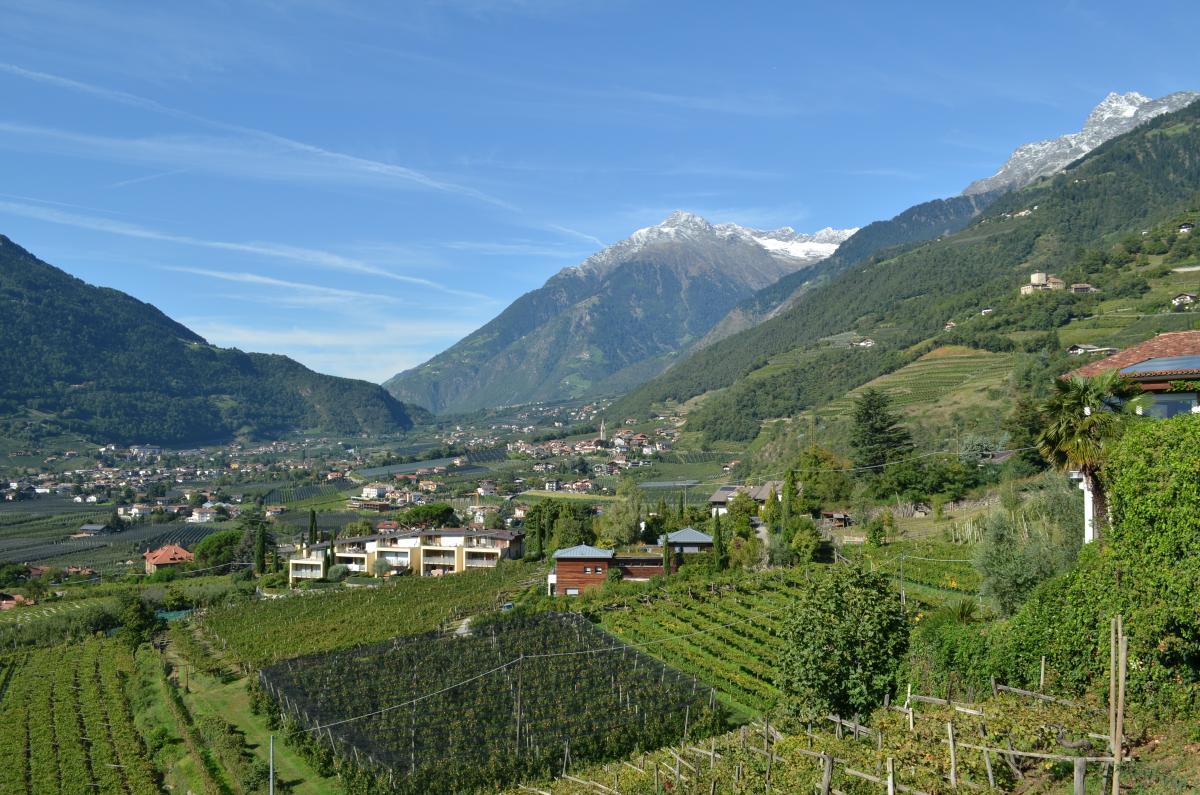 Meran, Blick nach Algund
