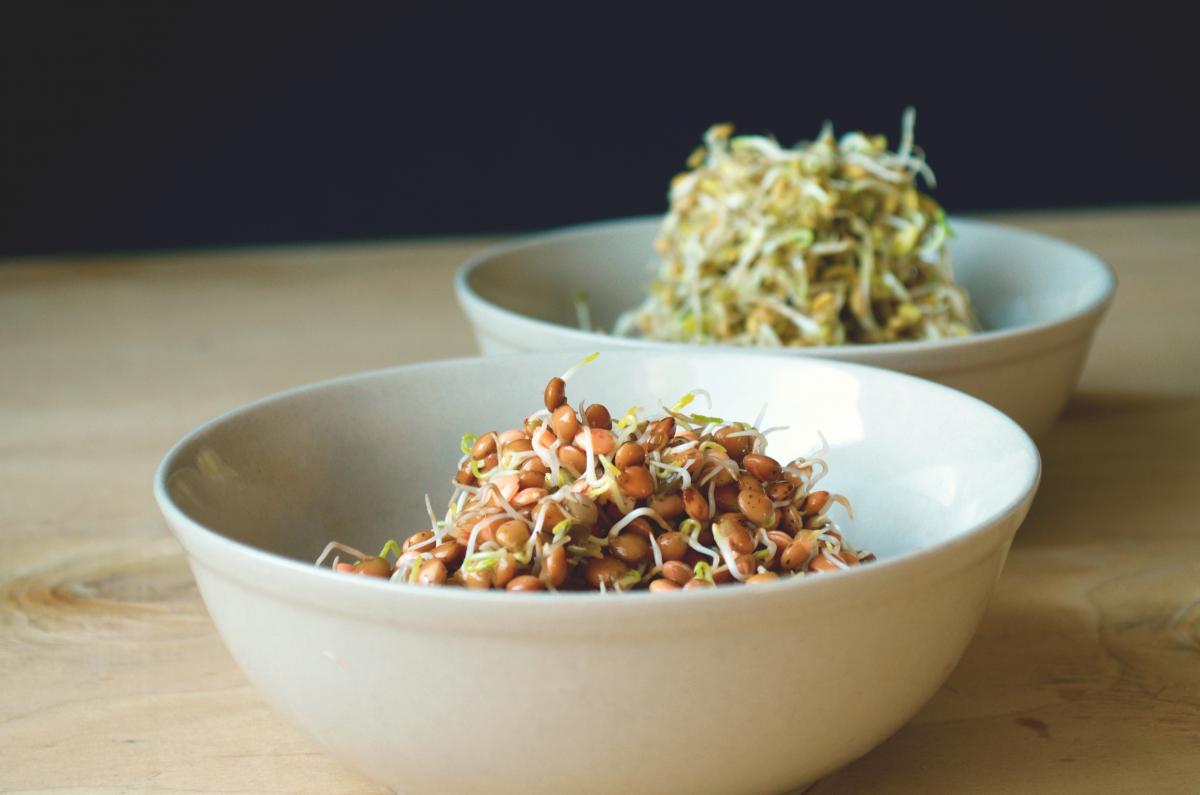 Sprossen und Keimlinge