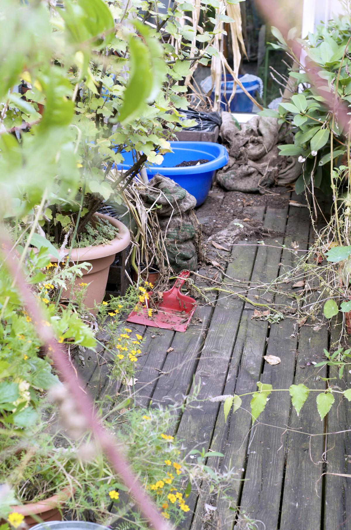 YOKGarden September16