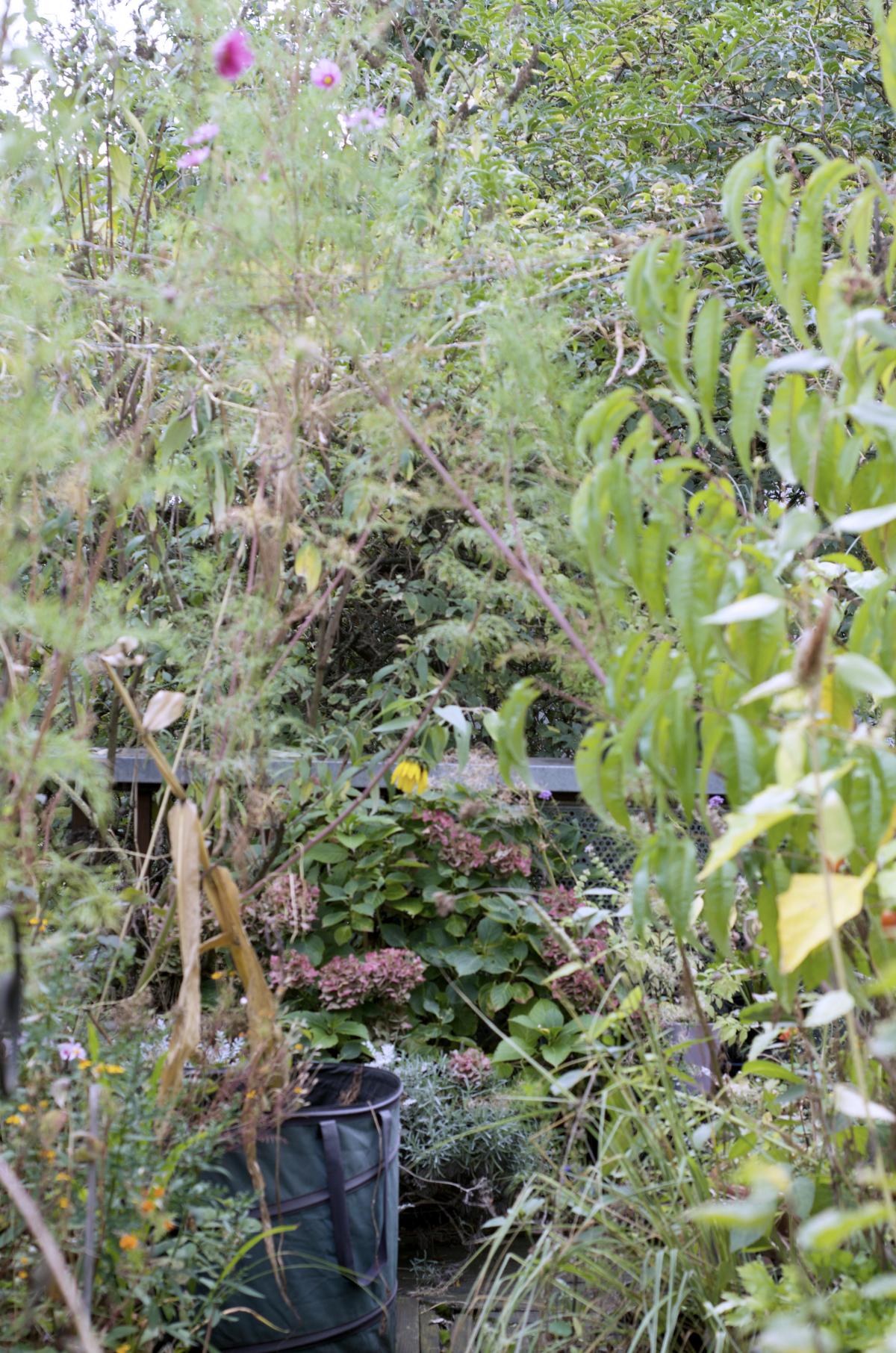 YOKGarten September16