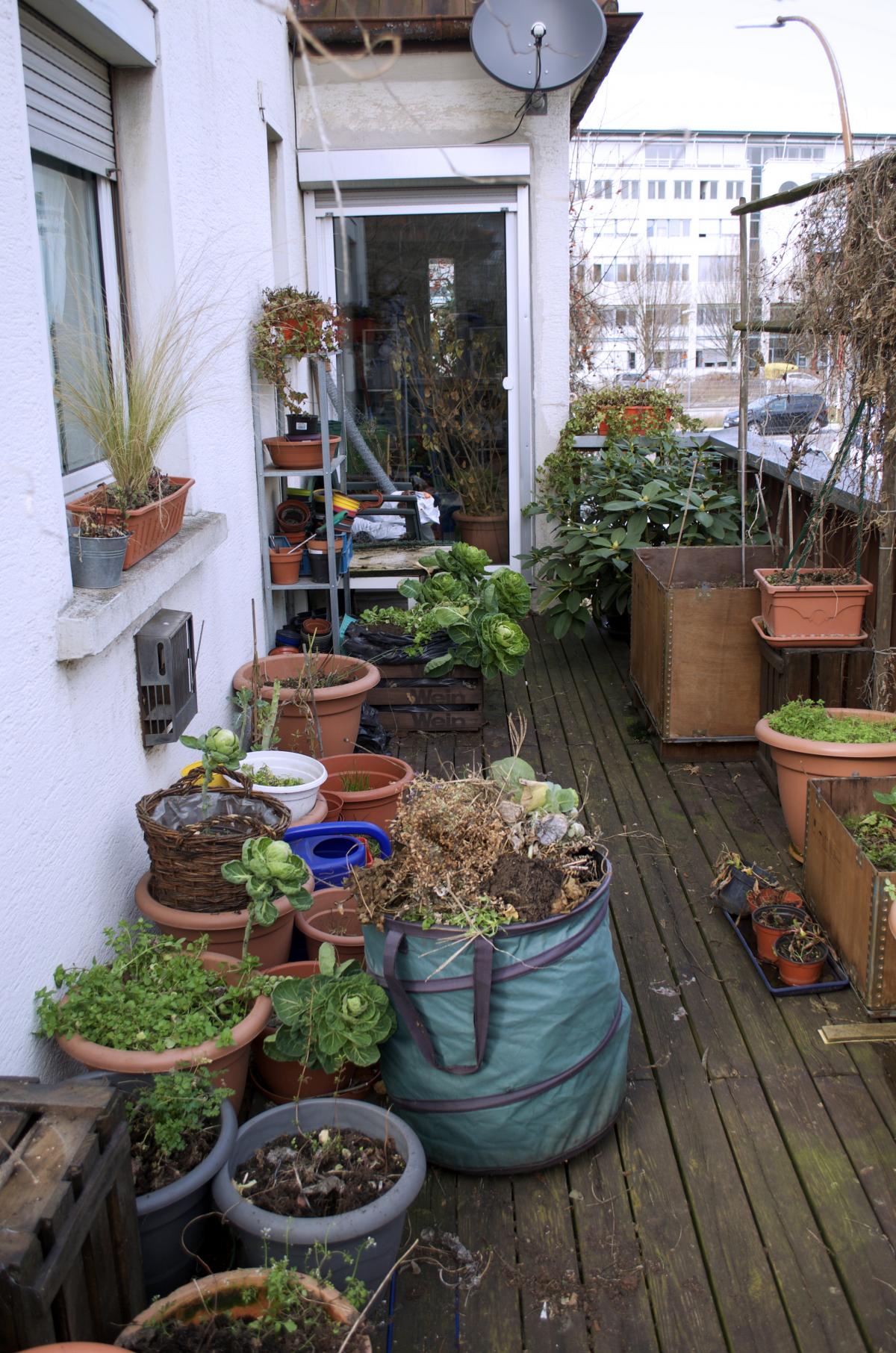 YOKGartenFebruar1610