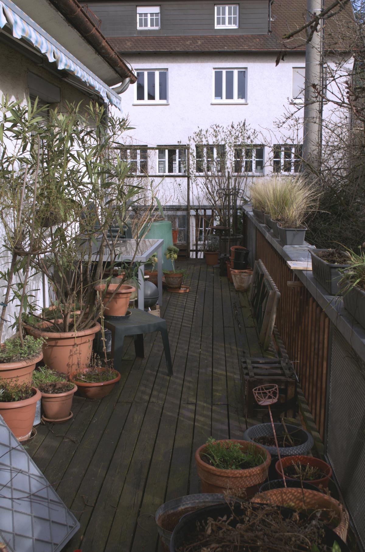 YOKGartenFebruar1611