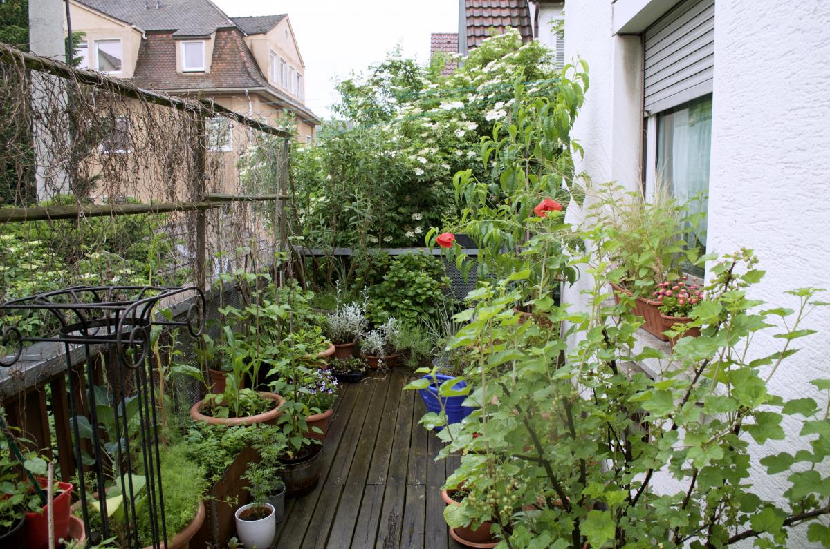 Der YOK-Garten im Mai » Ye Olde Kitchen | Food- und Gartenblog