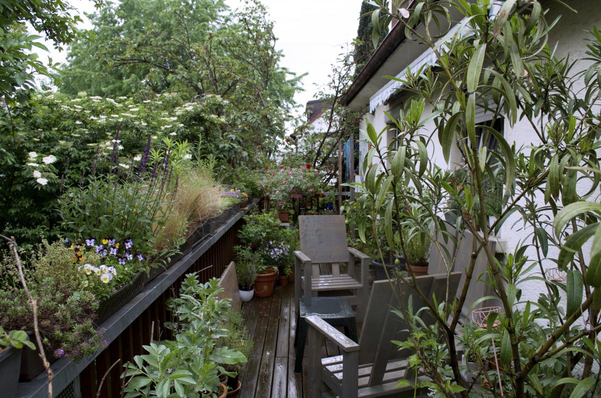 YOKGartenMai16 BalkonSued