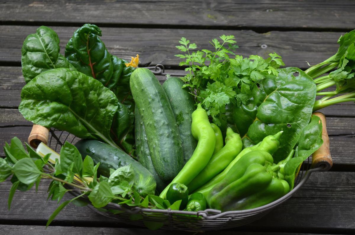 Grüne Gazpacho » Ye Olde Kitchen | Food- und Gartenblog