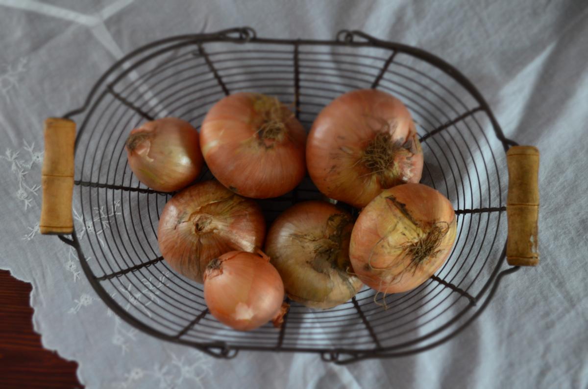 Zwiebeln