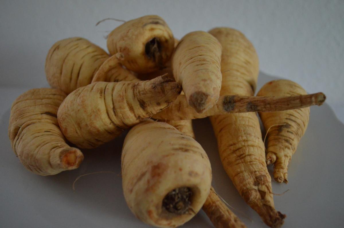 parsley roots