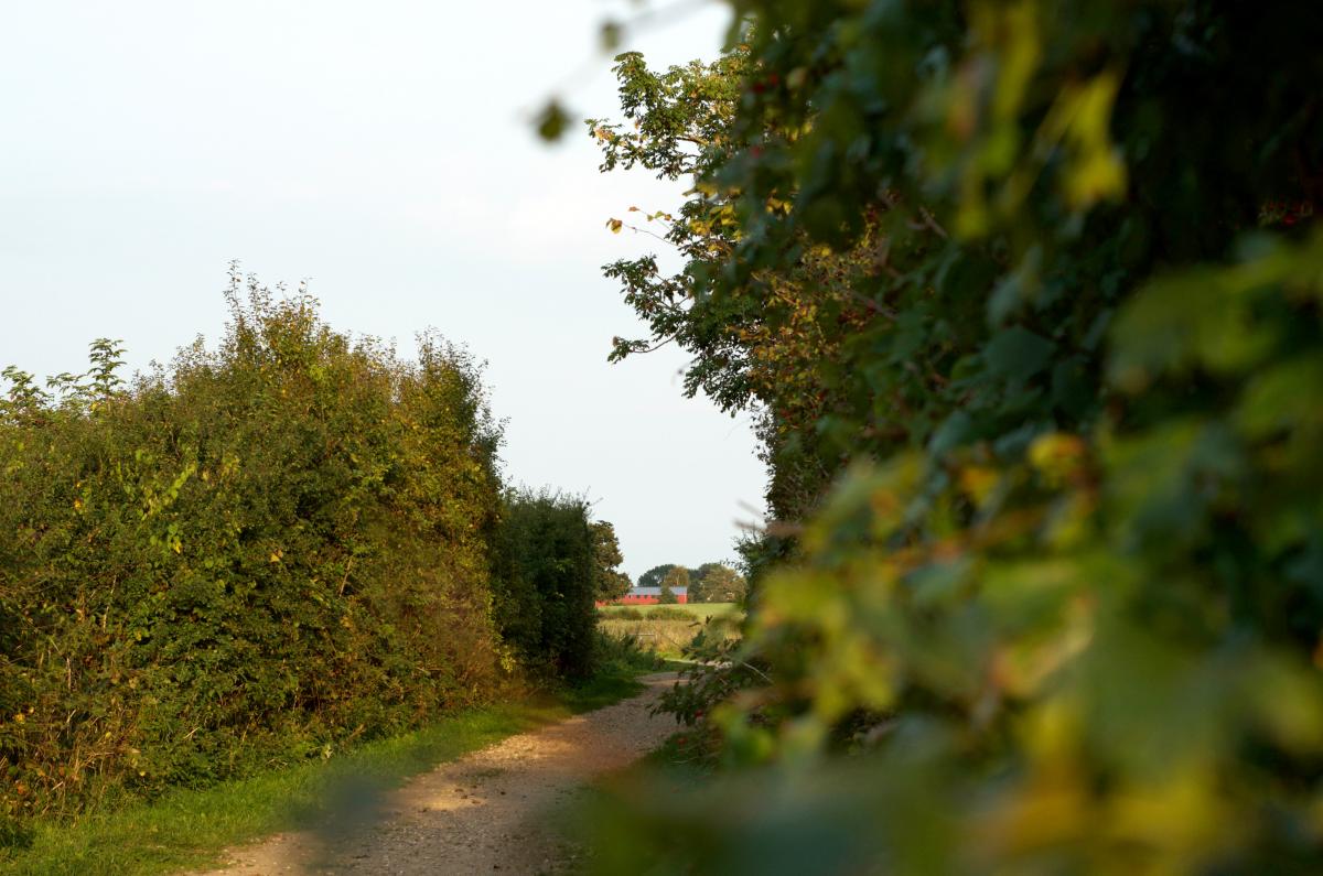 um die Ecke geschaut